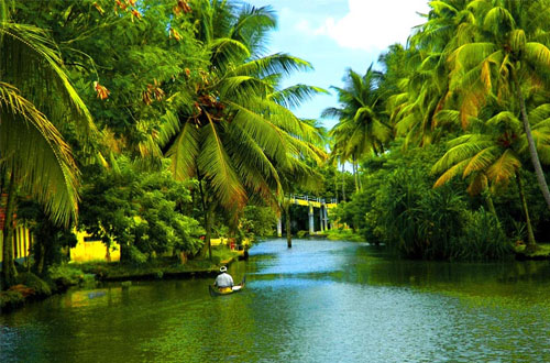 Kerala Destination