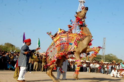 Rajasthan Destination