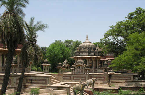 Rajasthan Destination