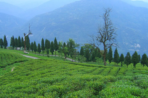 Sikkim Destination