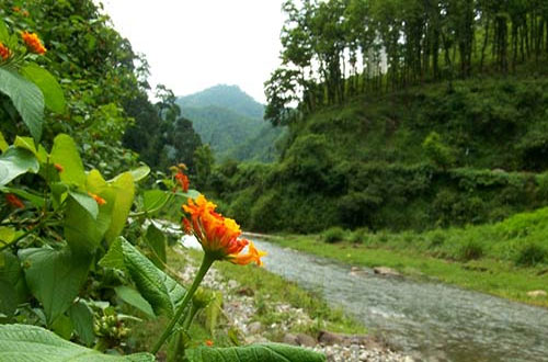 Uttarakhand Destination